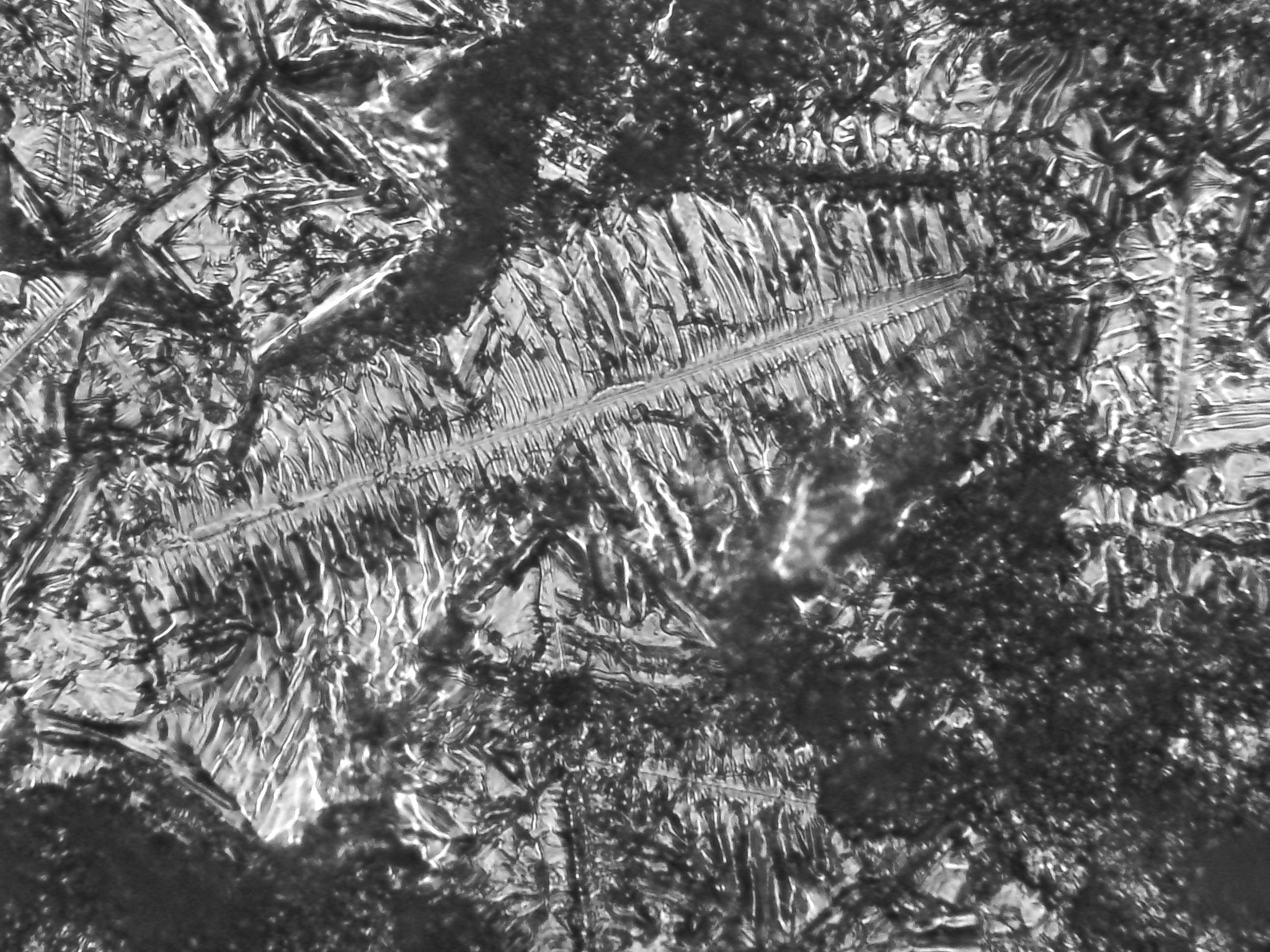 Photo de crystaux de sel