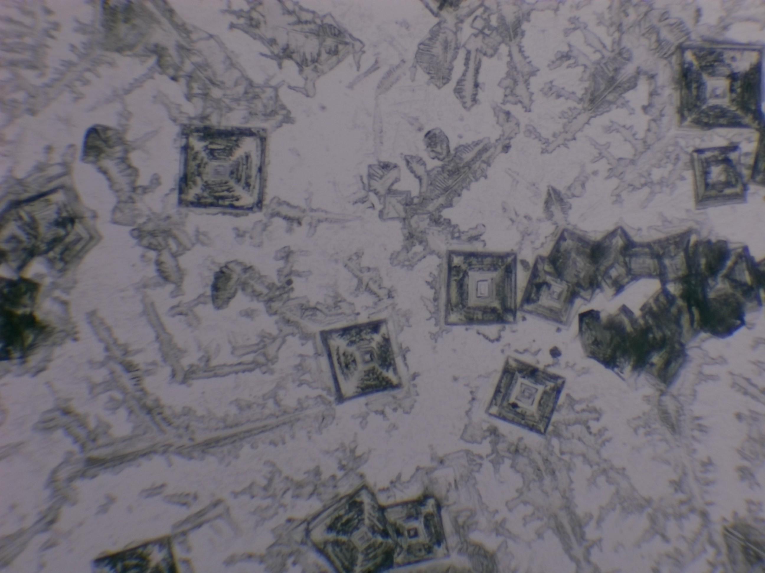 Vidéo de crystaux de sel au microscope